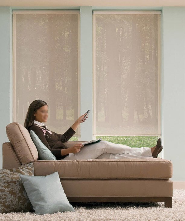 Motorized roller blinds for window